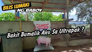 Bakit Ako Bumalik Sa Ultrapak - Maganda Ang Epekto