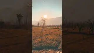 #naturesanctuary #natureview #greenscreen #natureretreat #field #sunset #life #nature #please #peace