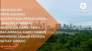 Station ID WildBrain TV 2021 Quote 1 No Noise