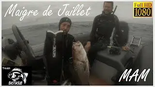 148 - Maigre de Juillet - Chasse sous marine en Vendée 2021