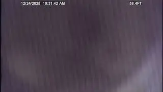 sentinel WhatsApp Video 2026 01 13 at 1 18 07 PM