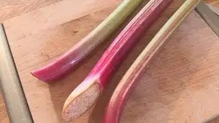 How To Freeze Your Rhubarb