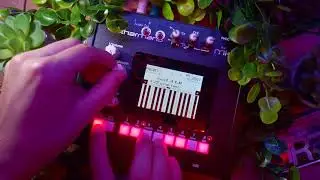 Strange Sounds From The Underbrush __ Gotharman's Tiny LD Workstation Synth __ #TTNM