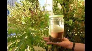 FISH AMINO ACID AT FLAT/ORGANIC FERTILIZER DIY AT FLAT