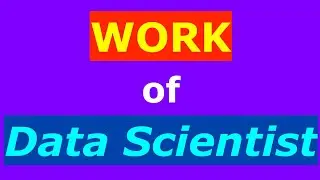 What is the work of a Data Scientist?