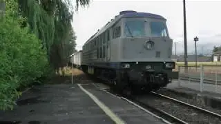 BR232-443 z węglarkami | Hajn&oacute;wka