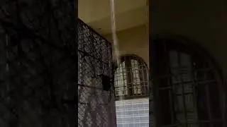 Rain with thunderstorms .Barish#iphonecameraresult