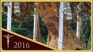 ✝️ Salida de la Virgen María Stma. del Amor  - Hermandad de Pino Montano (Semana Santa Sevilla 2016)