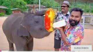 Viral of history in M4 Tech instant /malayalam /juvans Jesus vlog
