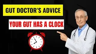 Gut Health Begins When You Eat, Not Just What You Eat