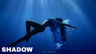 The Shadow - Falling into blue (Official Audio)