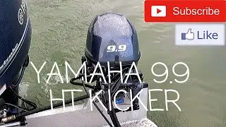 YAMAHA 9.9 HT KICKER MOTOR (2019 HEWESCRAFT SEARUNNER 210) SALMON FISHING