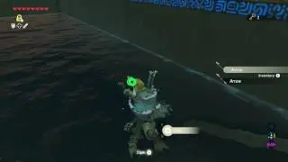 Breath of the Wild: Shrine Walkthrough - Rota Ooh [Central Hyrule Region]