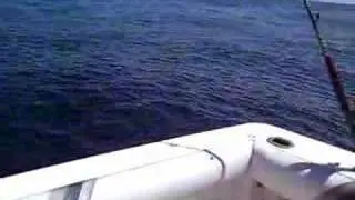 fishing with michael rodrick