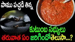 పాము పచ్చడి తిన్న కుటుంబసభ్యులు తరువాత ఏఁ జరిగిందో తెలుసా?|top teluguone|