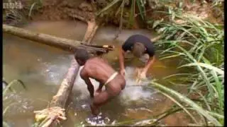 Tribe: visiting a tribe famed for cannibalism - Explore - BBC