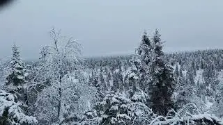Valtavaara (Ruka-Kuusamo) December 2025 🇫🇮