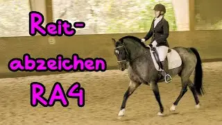 Reitabzeichen 4 🦄 Tag 5: Prüfungstag!!! 🙈