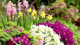 Meine Mutter | Ext. Track | Dee Jay Sudi | Maqsood Ahmad Naseem