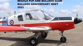 Beagle Pup and Bulldog club - Bulldog anniversary meet 2023 LEEDS EAST AIRPORT #aviation #planes