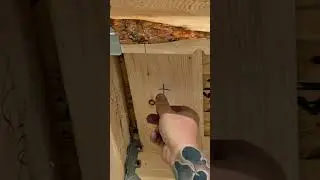 Simple Shop Lighting with WIFI controls 