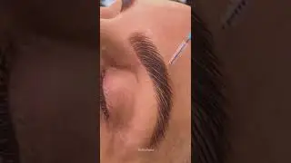 Elleeplex Profusion Brow Lamination