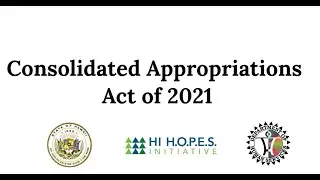 Consolidated Appropriations Act of 2021