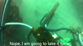 Scuba diving the Ocean Beach Pier in San Diego, CA using a gopro camera