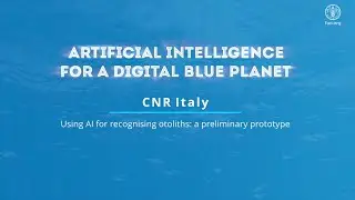 AI4DBP - Using AI for recognizing otoliths: a preliminary prototype
