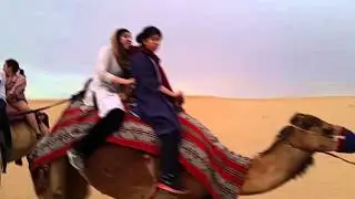 My first camel ride 🐫
