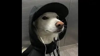 shut up my moms calling - hoodtrap remix