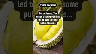 Durian Aroma Banned in places #shorts