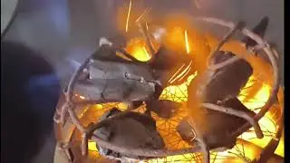 Viral village chatpati silbatta pyaaz chatni makka roti village setup#viral#viralcooking#villagefood