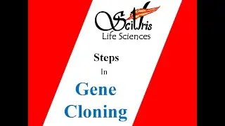 Plant Biotechnology : Steps in Gene Cloning