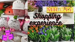 Mr DIY shopping 🛍️ Home Decor items,Toys and Stationery item staring at ₹19 #home #shopping #toys