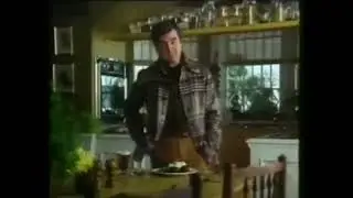 Birds Eye - Faggots In Gravy