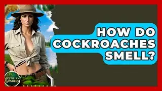 How Do Cockroaches Smell? - Reptilian Wonders