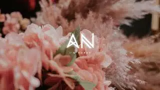 Chillout Music 2022 | Aurora Night - I'm Sorry