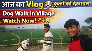 Dog Vlog in Village 🌿 | Cute Dog Moments | Daily Life..#Dogvlog #dogwalk #villagelife #dailyvlog 