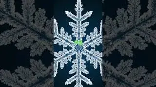 FRACTAL PATTERNS.   #science #viral #fractal #beautiful