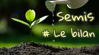 BILAN ET REPIQUAGE DE MES SEMIS DE PIMENTS ET POIVRONS