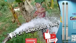 2 hp cri submersible pump working