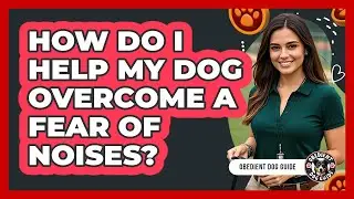 How Do I Help My Dog Overcome A Fear Of Noises? - Obedient Dog Guide