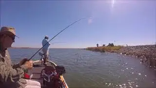 Randy Pringle The Fishing Instructor Ima Rock N Vibe Suspend