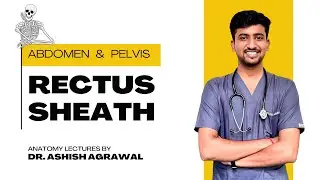 Rectus Sheath || Abdomen Anatomy || First Year MBBS || Anatomy Lectures by Ashish