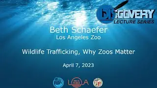 Discovery Lecture Series: Wildlife Trafficking, Why Zoos Matter