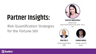 Partner Insights: Risk Quantification Strategy for the Fortune 500