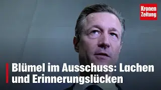 Bl&uuml;mel im Ausschuss: Lachen und Erinnerungsl&uuml;cken | krone.tv NEWS