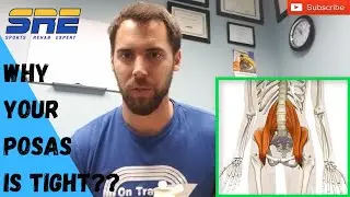 Tight Psoas Muscle - Should You Stretch or Strengthen the Psoas?