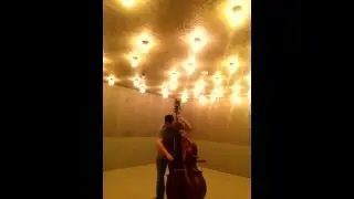 BOTESSINI DELUXE FLEXOCORD PIRASTRO Dami&aacute;n Rubido Gonz&aacute;lez, bass Follow links below for more strings